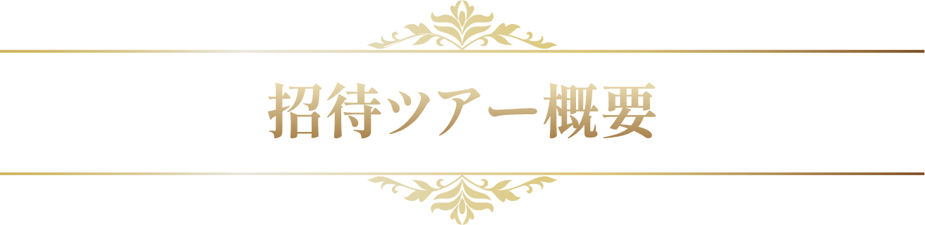 招待ツアー概要
